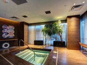 the-martin-indoor-spa