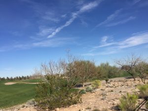 TPC-Canyons-Golf-Course-Homes-For-Sale