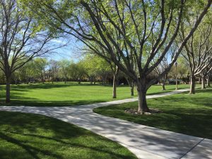 Las-Vegas-Custom-Homes-For-Sale