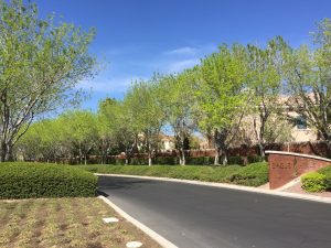 Eagle-Hills-Homes-For-Sale-Entrance