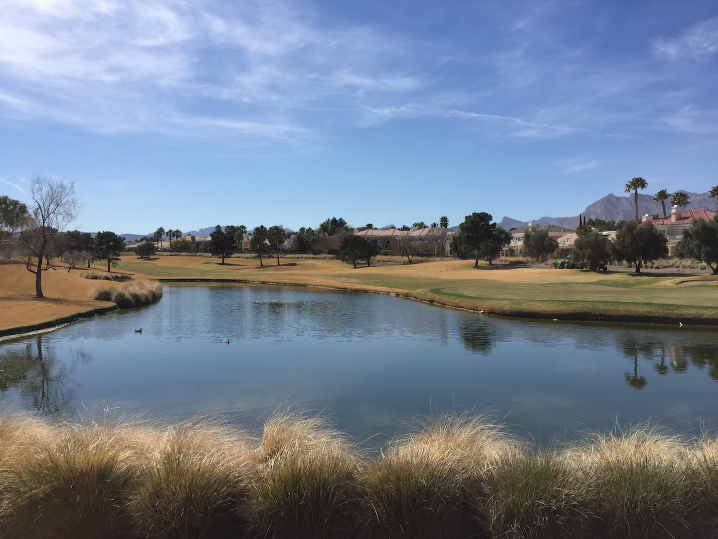 condos-for-sale-in-summerlin-las-vegas-TPC Golf COurse