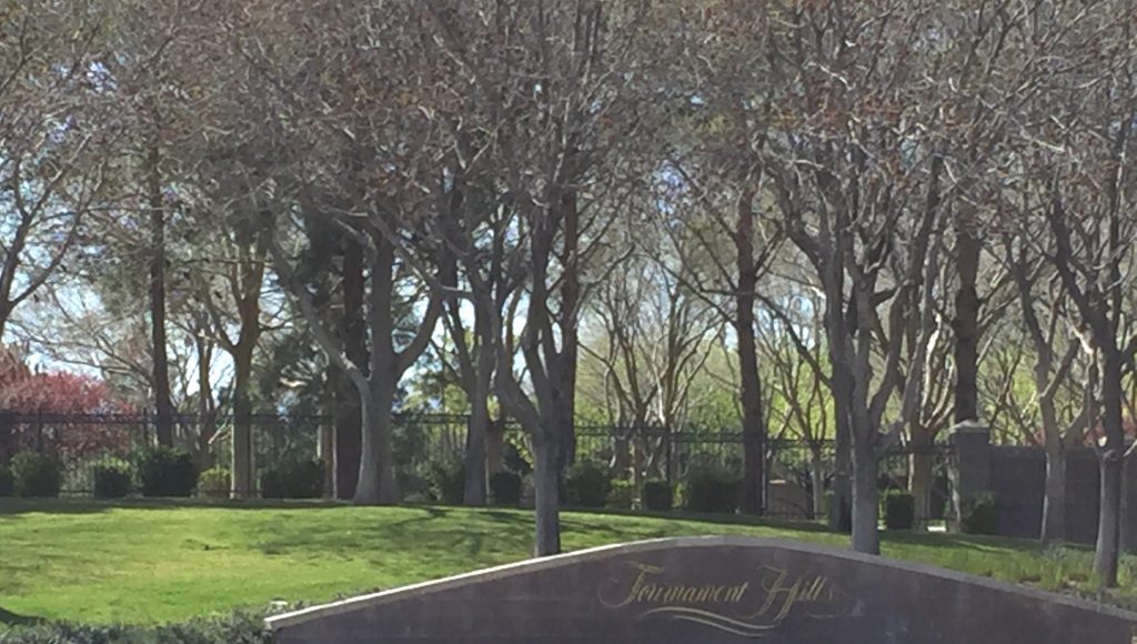 Las Vegas Luxury Homes & High Rises Tournament Hills Las Vegas