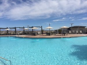 regency-at-summerlin-pool-by-travis-scholl-las-vegas-realtor-age-55+-specialist